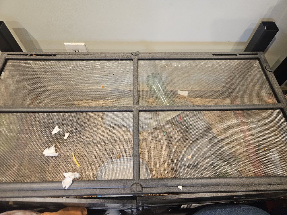 Several Reptile Habitats, including unopened 4x2x2.