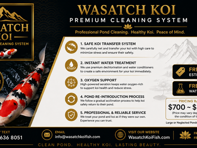 Koi Pond Cleaning -- Safe Fish Handling / Wasatch Koi Premium System