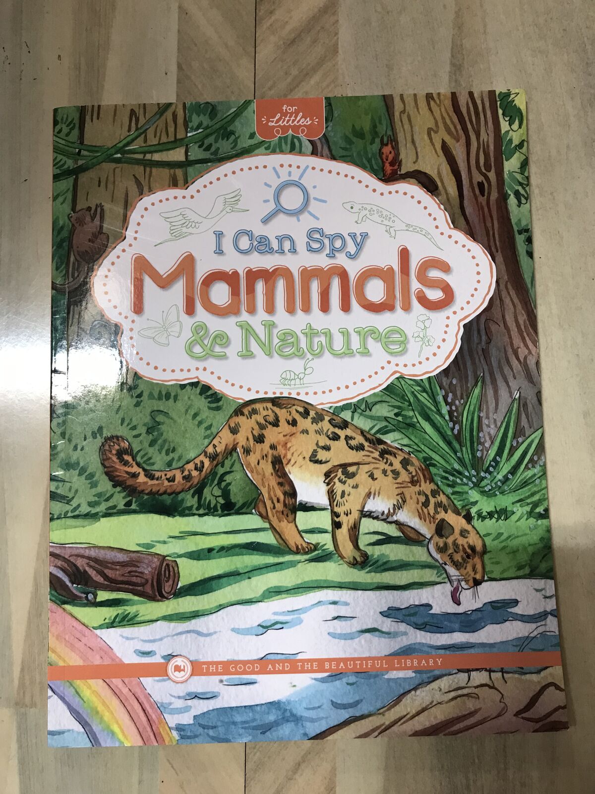 The good and the beautiful mammals activity book