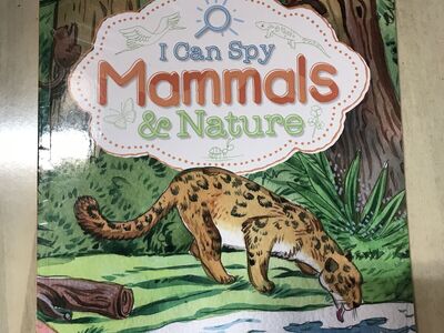 The good and the beautiful mammals activity book