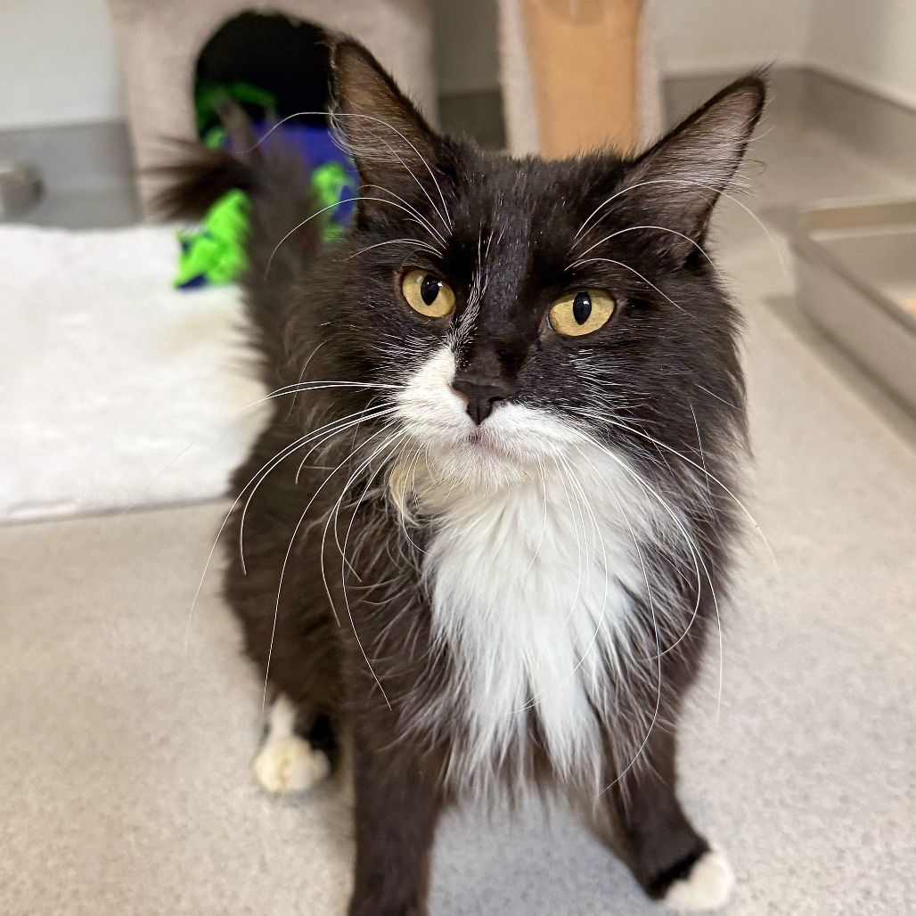 Hello my name is Bernadine