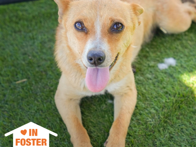 Hello my name is Gracie