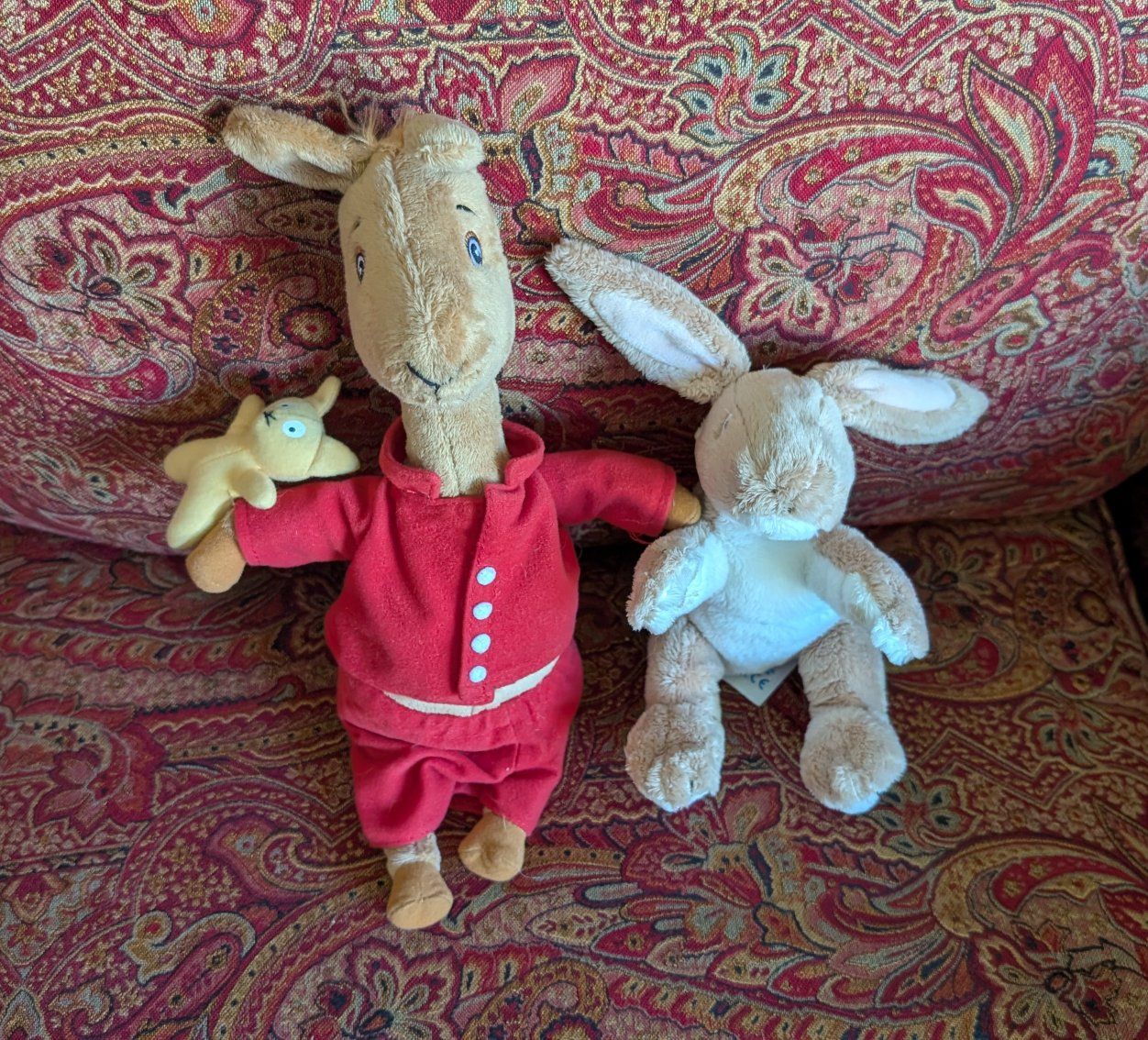 Children's Book Plushies
