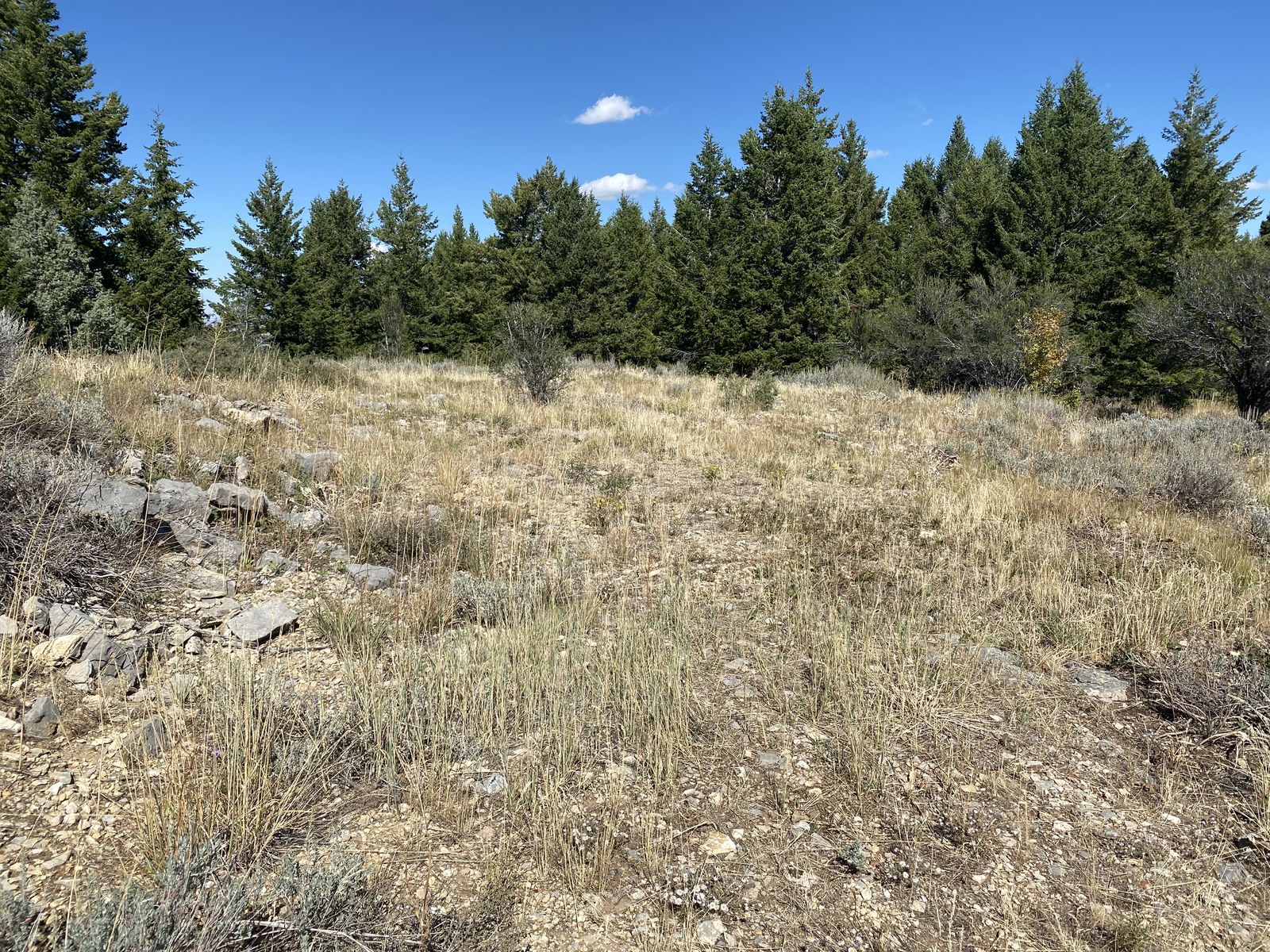 14.7 Acre Recreational Lot