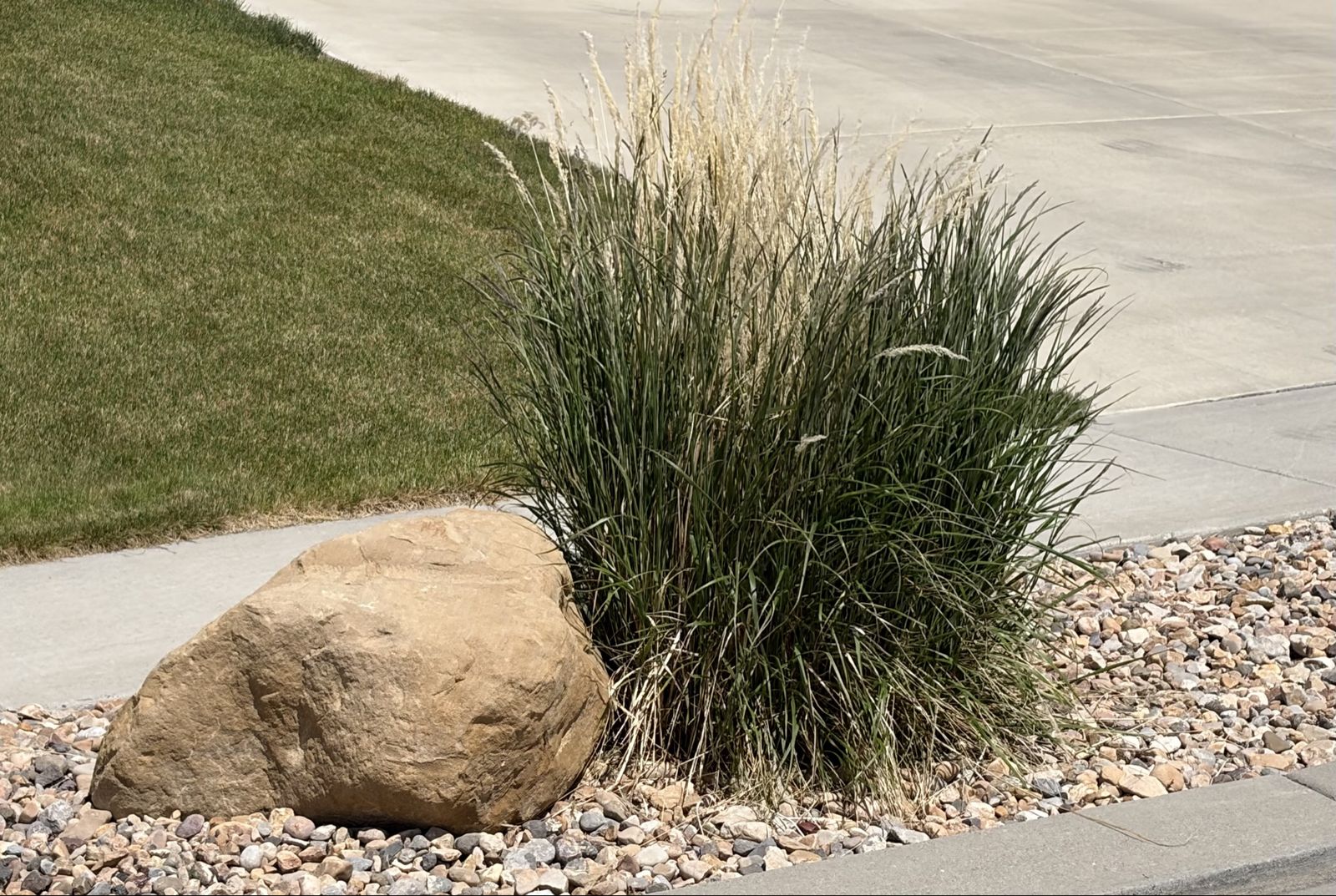 Large Accent Landscape Boulders