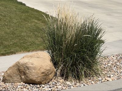 Large Accent Landscape Boulders