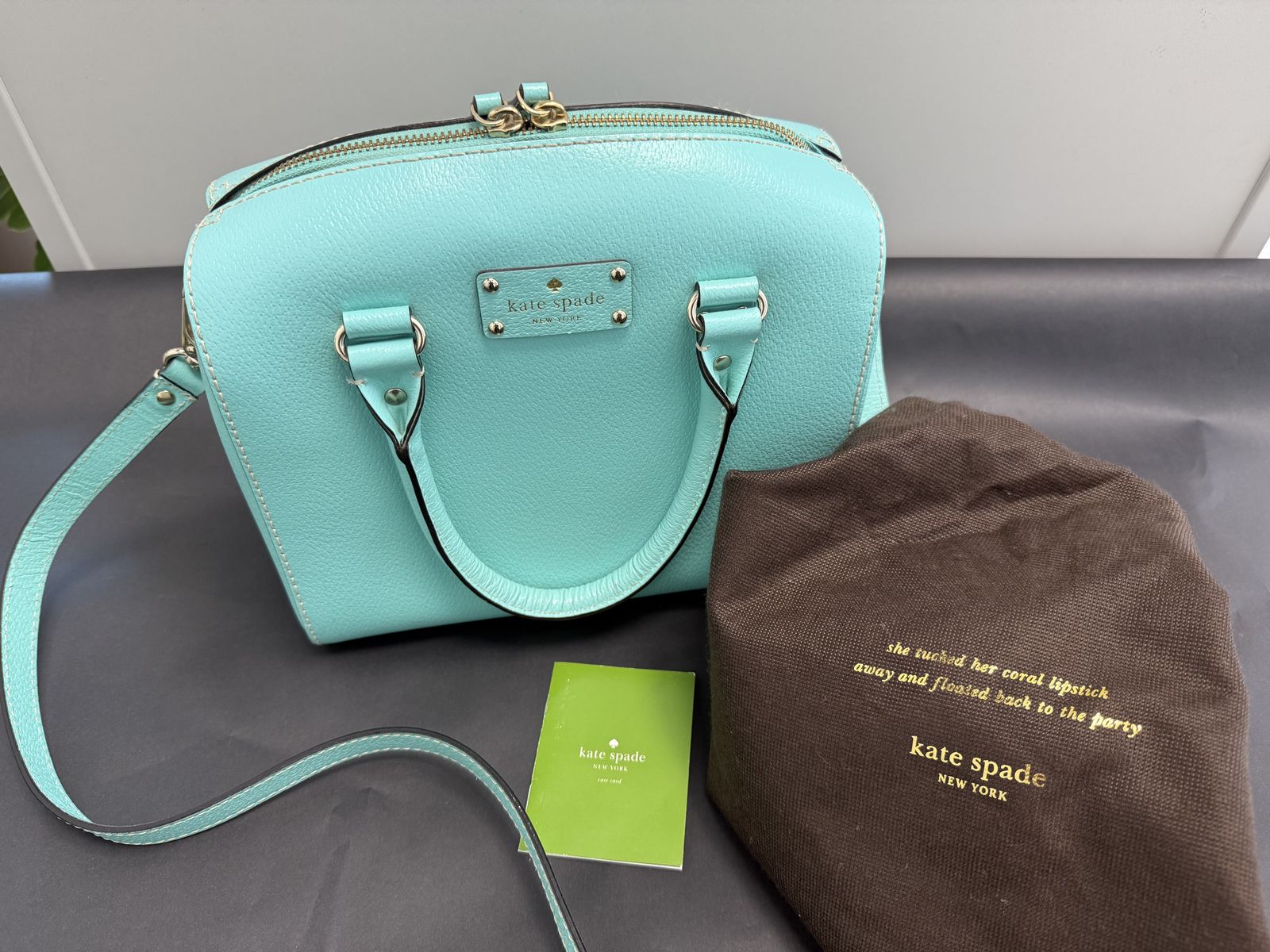 Kate Spade Wellesley Alessa Satchel/Purse - Robin's Egg Blue (EUC)