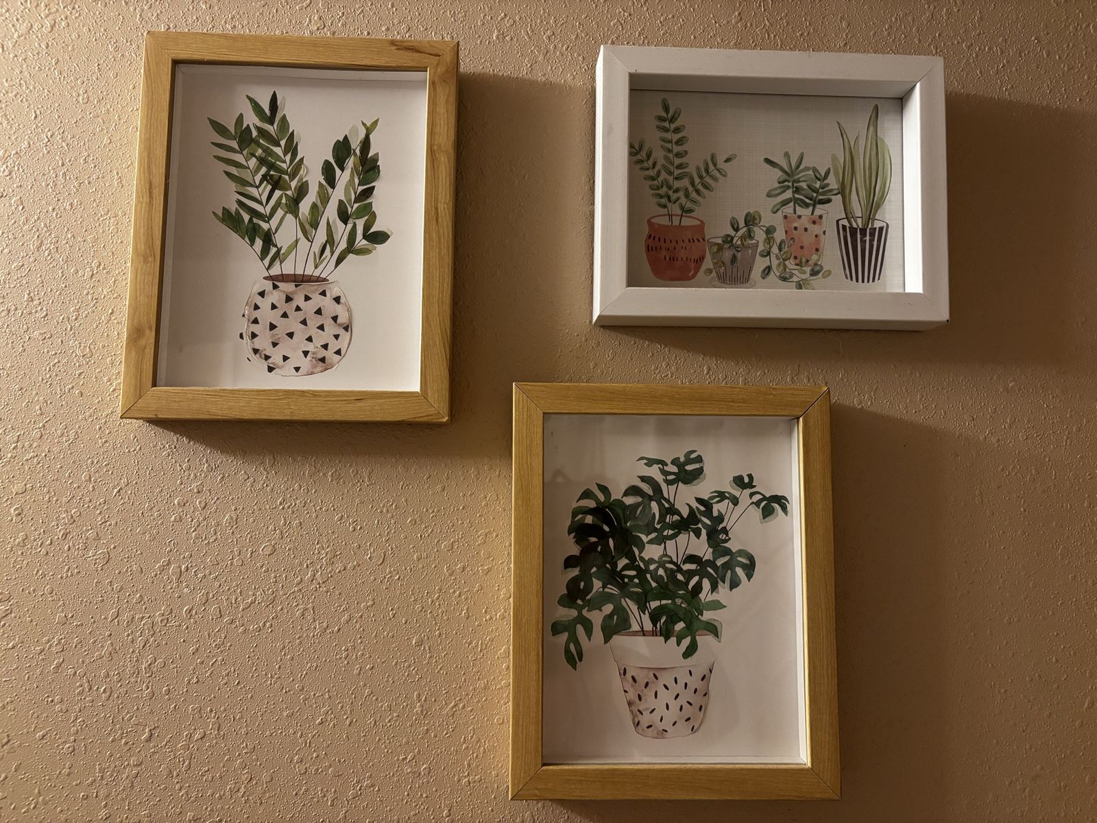 Set of 3 Plant Framed Wall Art Botanical Prints