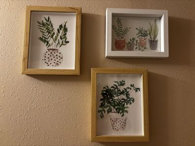Set of 3 Plant Framed Wall Art Botanical Prints