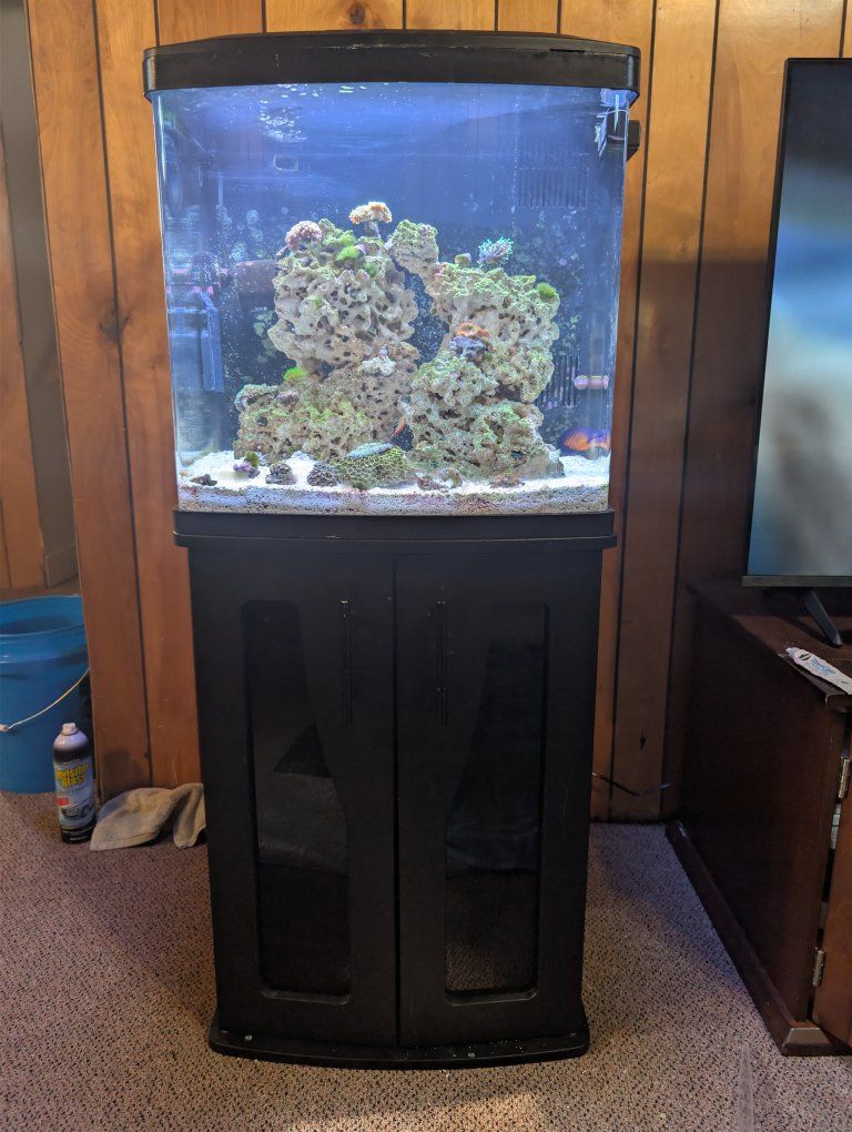 32 gallon bio cube