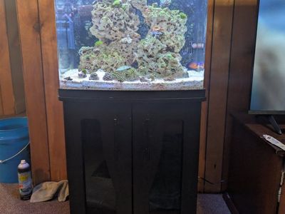 32 gallon bio cube