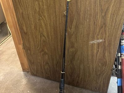 South Bend Casting Rod