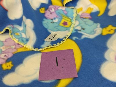 Care Bear Fleece Blankets - Individual or a set