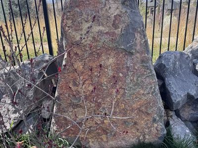 Large Landscape Boulders for Sale – Natural, Decorative Stone (50+ Available)