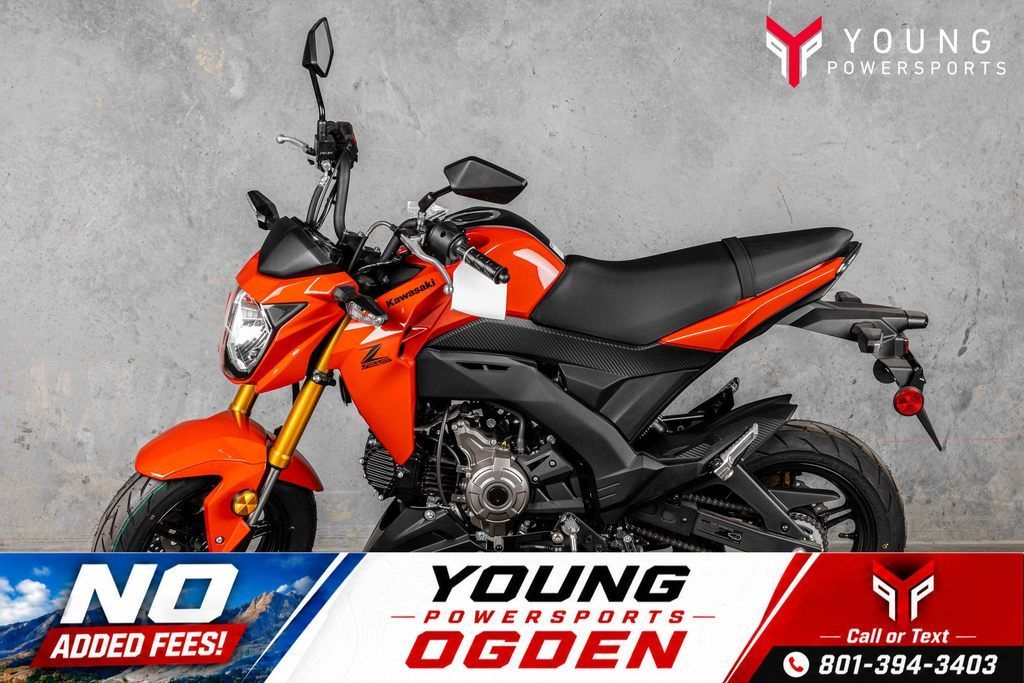 2025 Kawasaki Z125 PRO