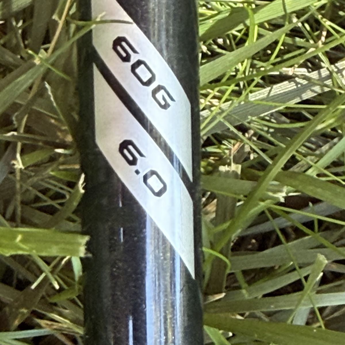 Main image 4
