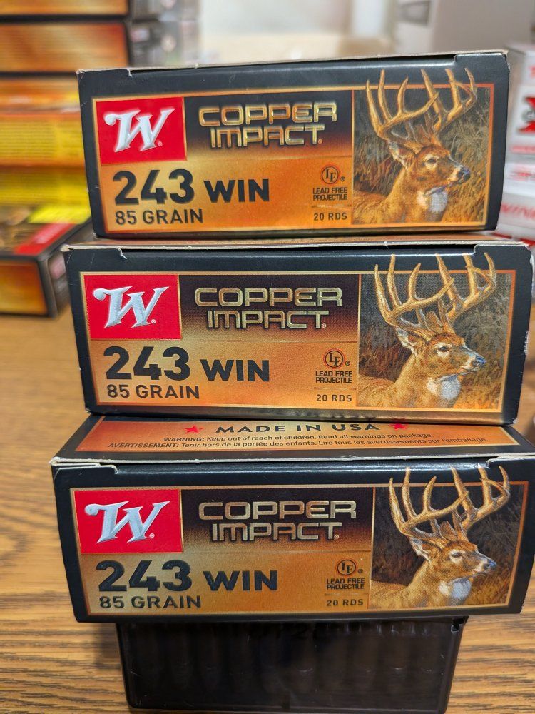 243 Copper Impact Ammo