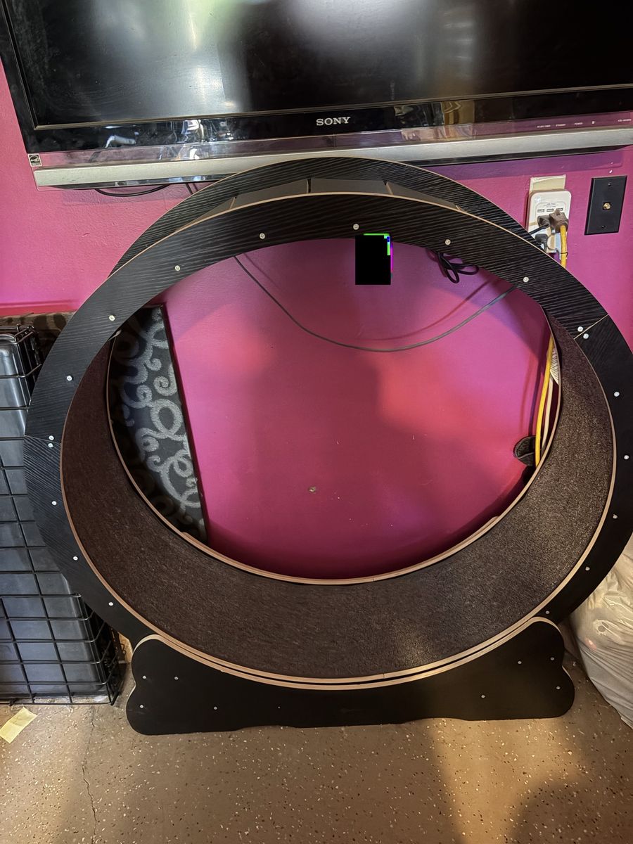 Cat exercise wheel