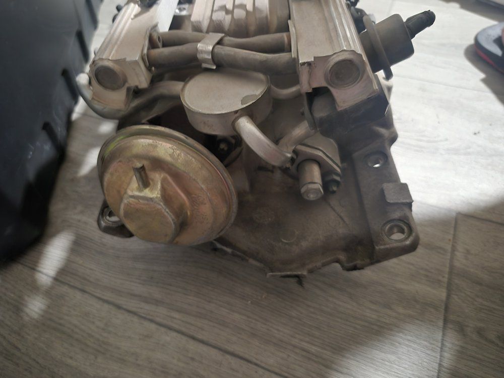 Main image 7