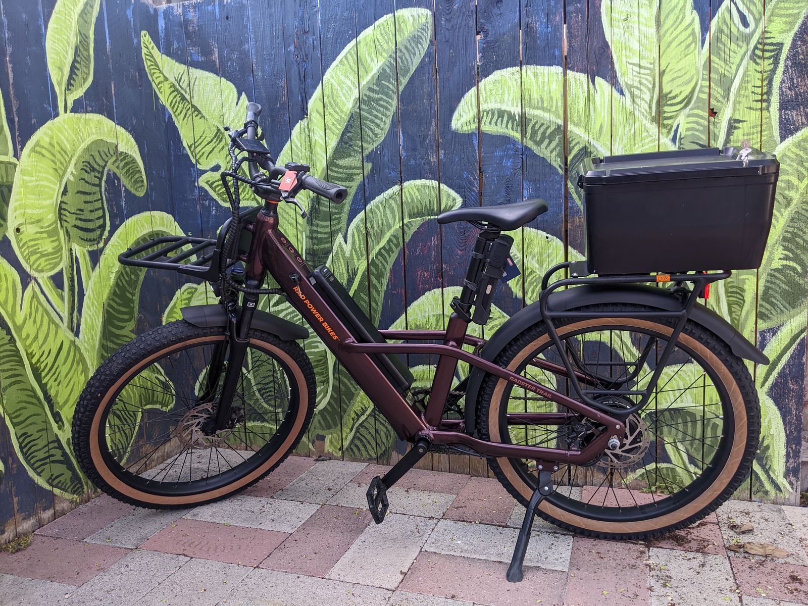 Rad Power Bikes Radster Trail Ebike size large with extra battery + accessories