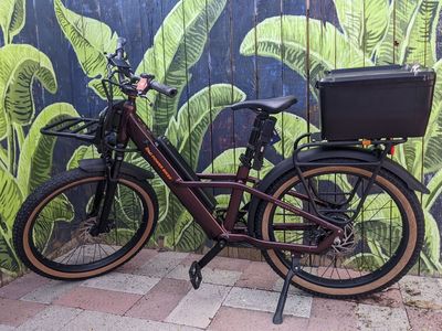 Rad Power Bikes Radster Trail Ebike size large with extra battery + accessories