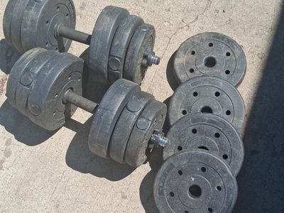 weights (arm)