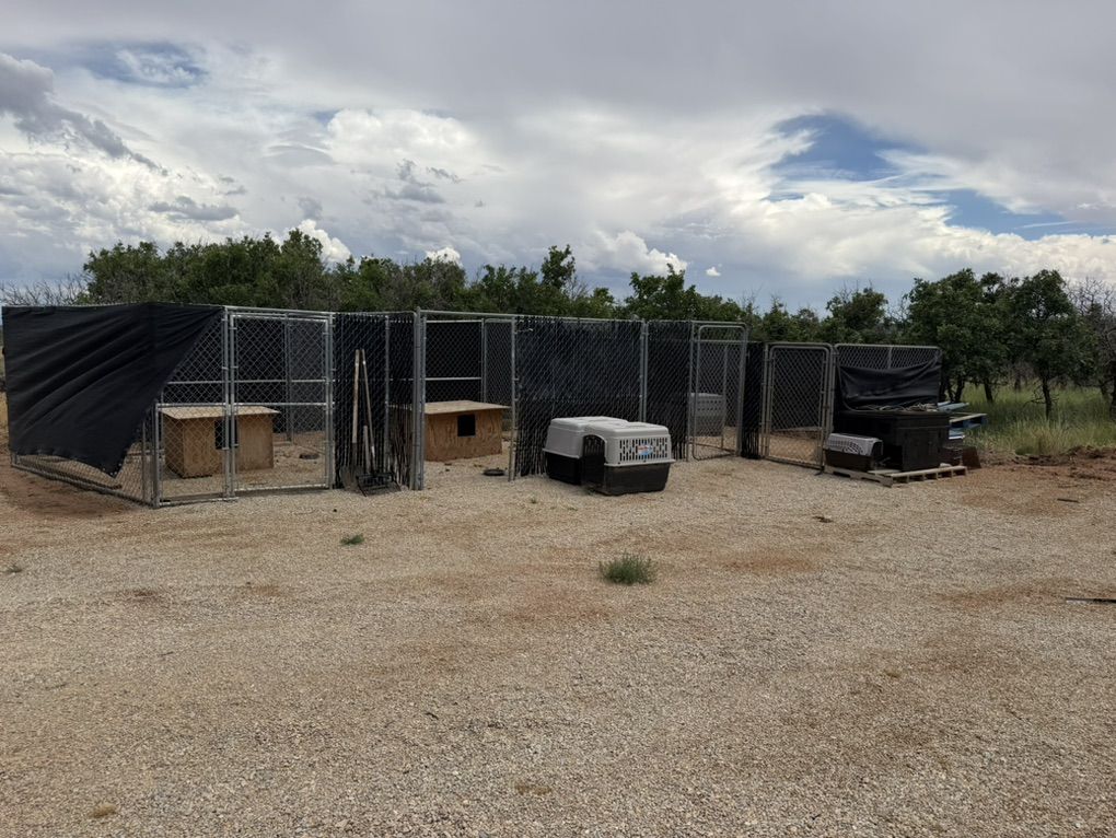 4 Run Kennel Setup For dogs