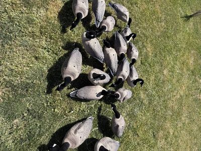 18 mayhem lesser goose decoys with flocked heads and bases