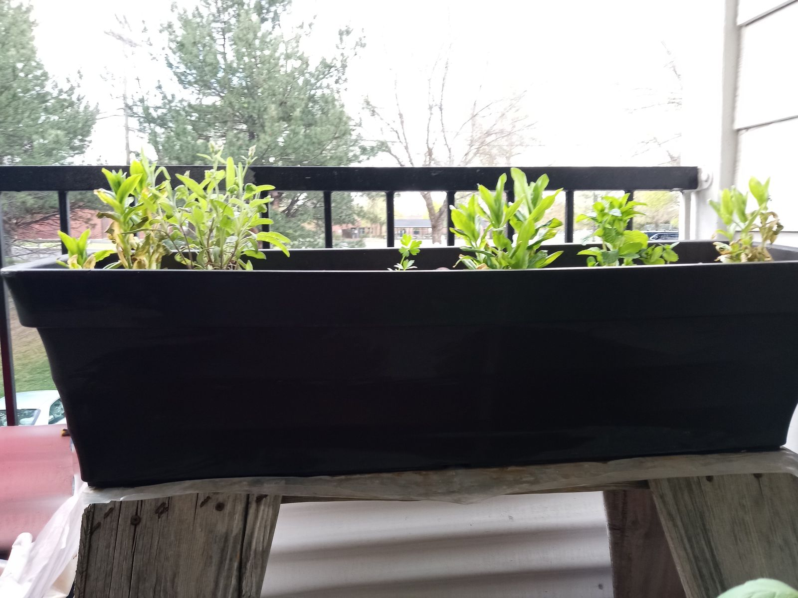 Large black rectangular herb planter 3 feet by 9 inches high by10 1/2 inches wide