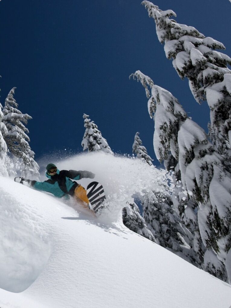 Snowboard And Ski Wax And Tuning