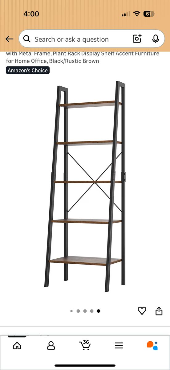 Ladder shelf