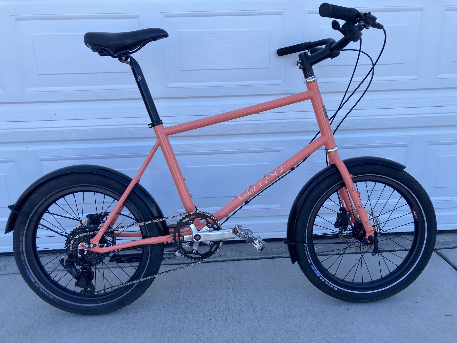 Velo Orange Neutrino Mini Velo – Large – Meticulously Maintained