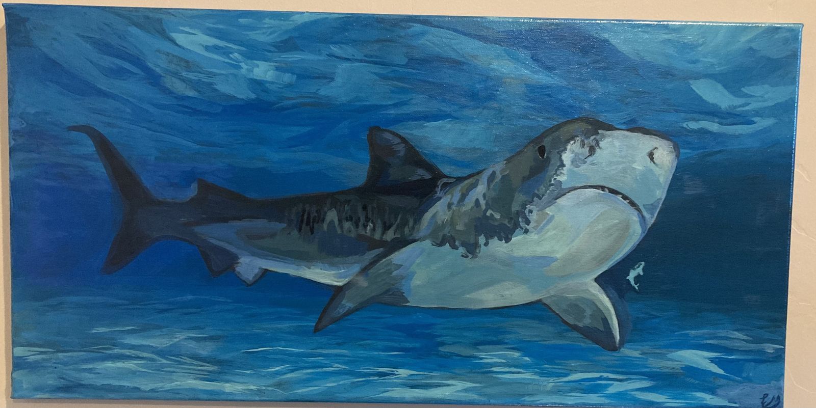 Shark painting finished with glossy varnish