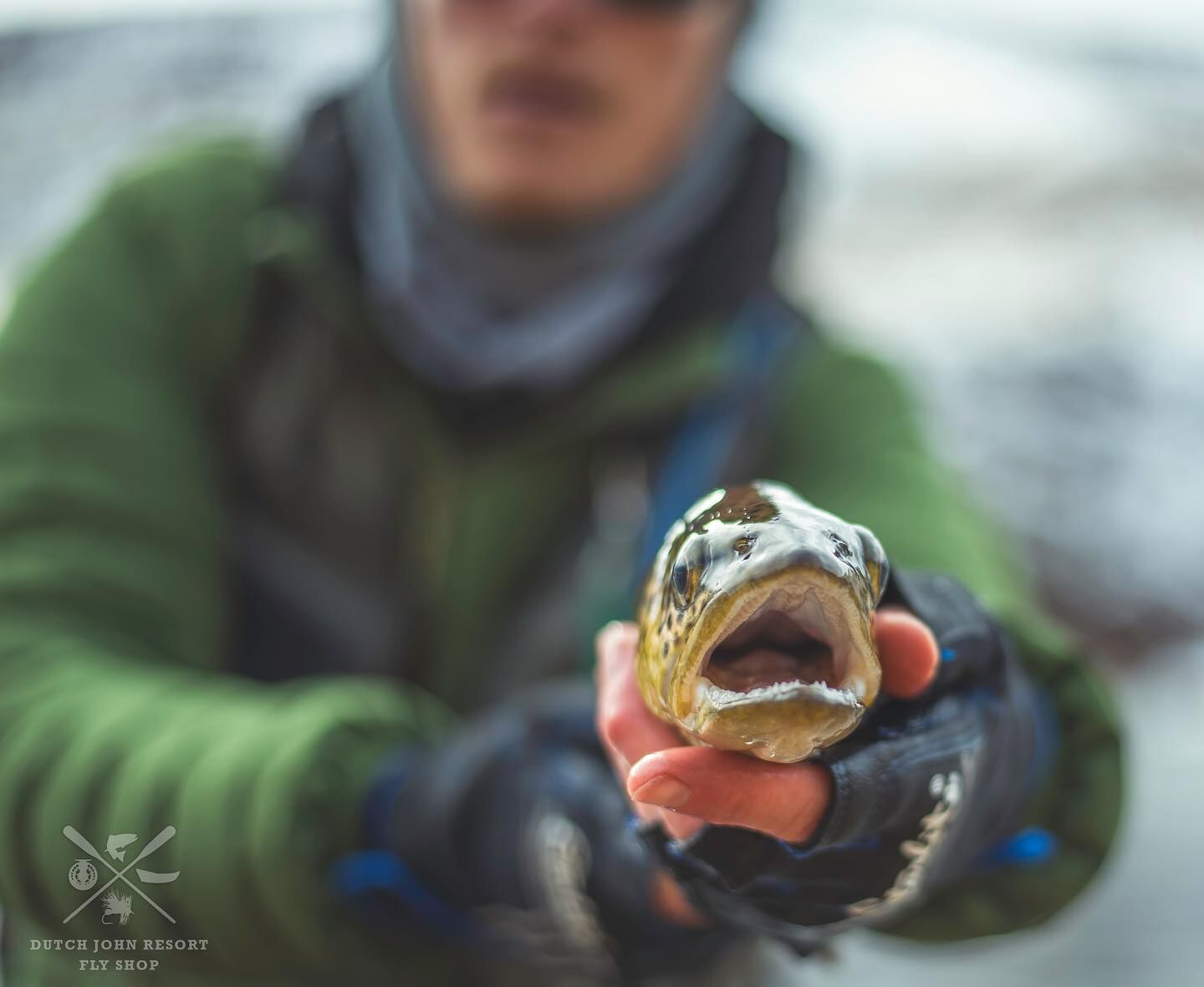 Get a Guide for World Class Fly Fishing on the Green River, NE Utah