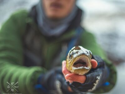 Get a Guide for World Class Fly Fishing on the Green River, NE Utah