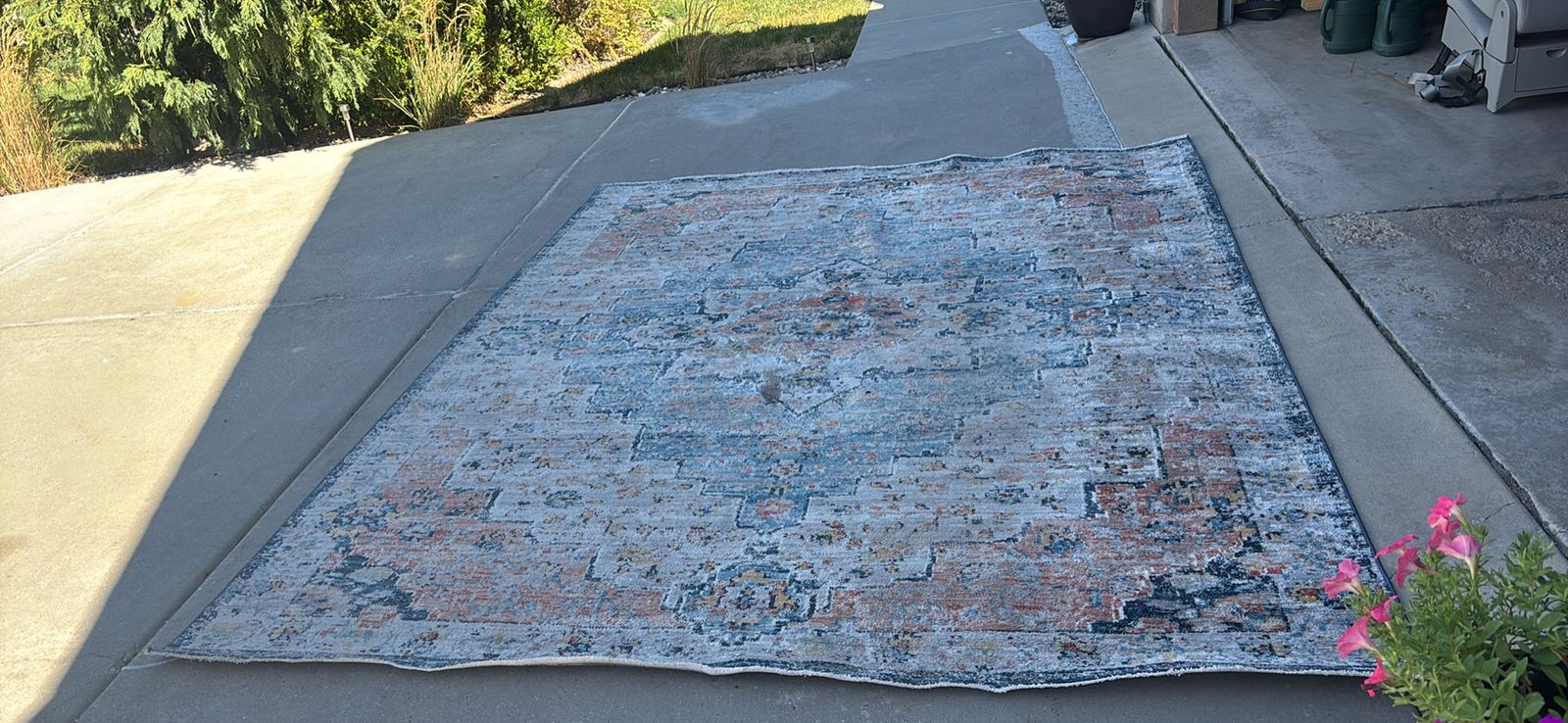  Area Rug 8' x 10' 