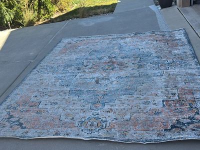 Area Rug 8' x 10'