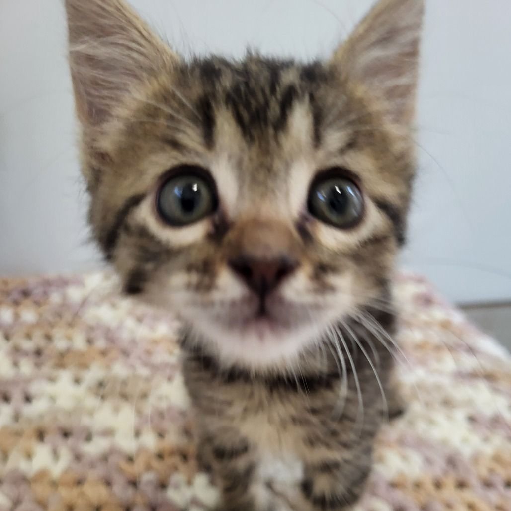 Hello my name is Walker