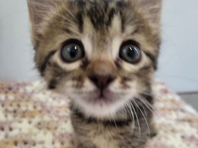 Hello my name is Walker