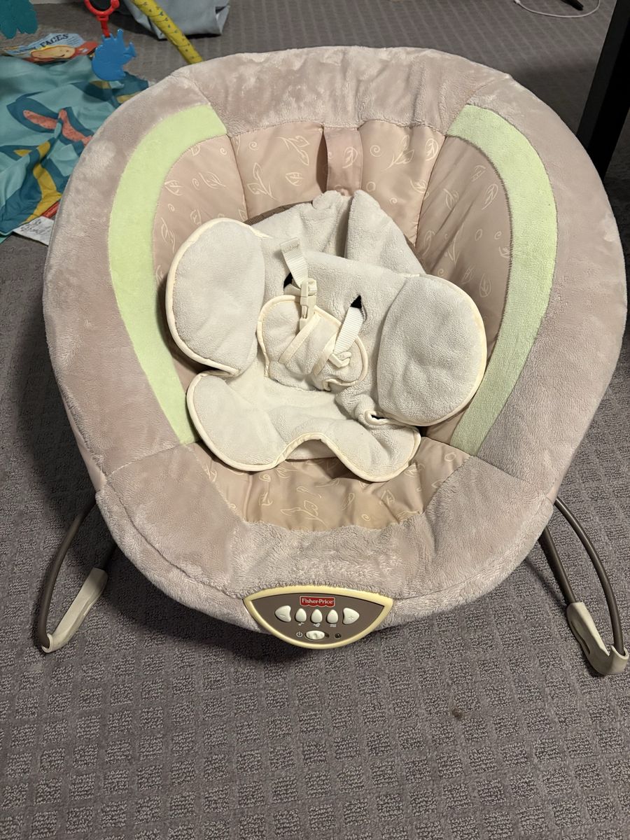 Baby bouncer