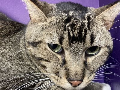 Hello my name is Ashwin