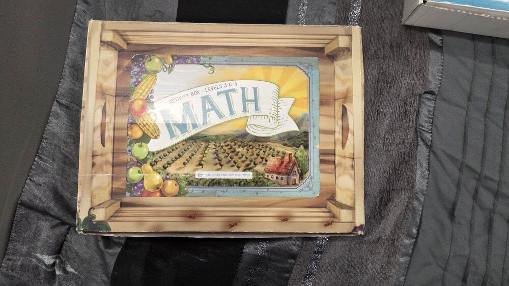 the good and beautiful math box level 4