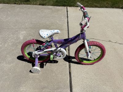 Trolls "Put Your Hair in the Air" Kids' 12-inch Bicycle with Training Wheels, Purple/Pink/Green