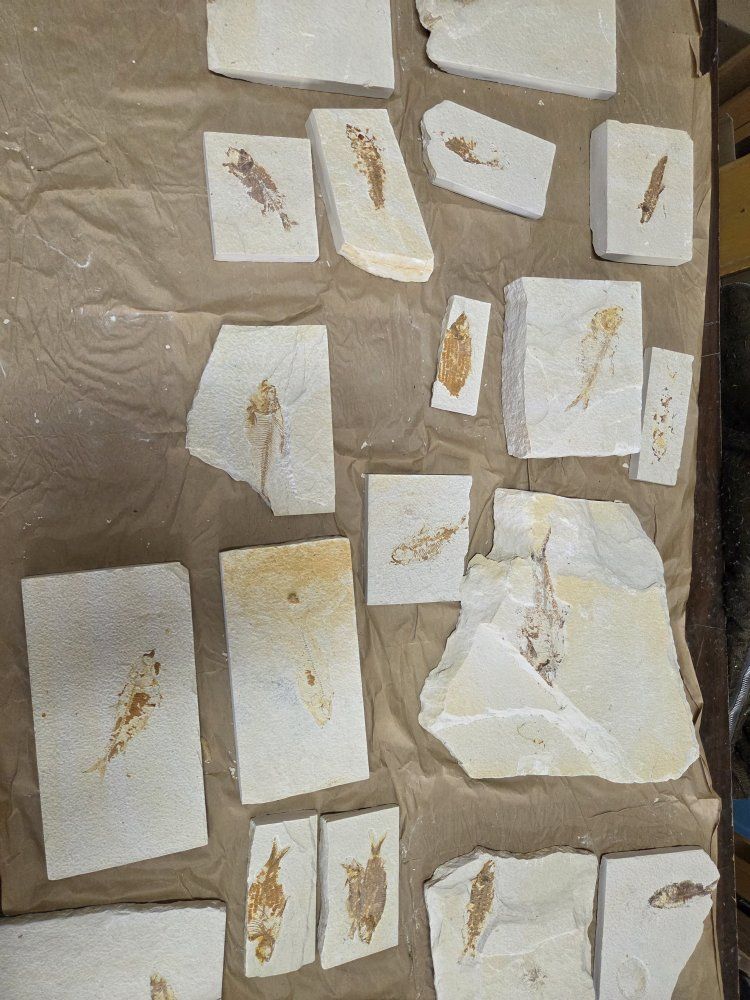 Main image 3