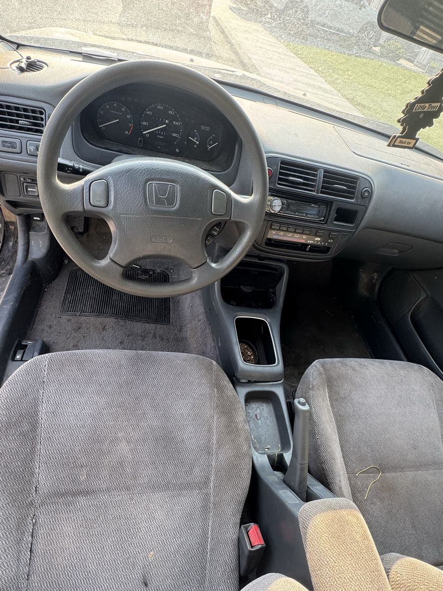 Main image 6