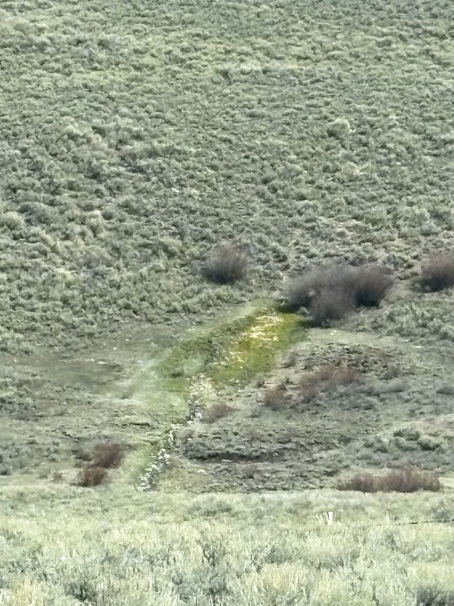 Main image 8