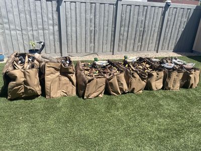 Goose and Duck Decoy Set