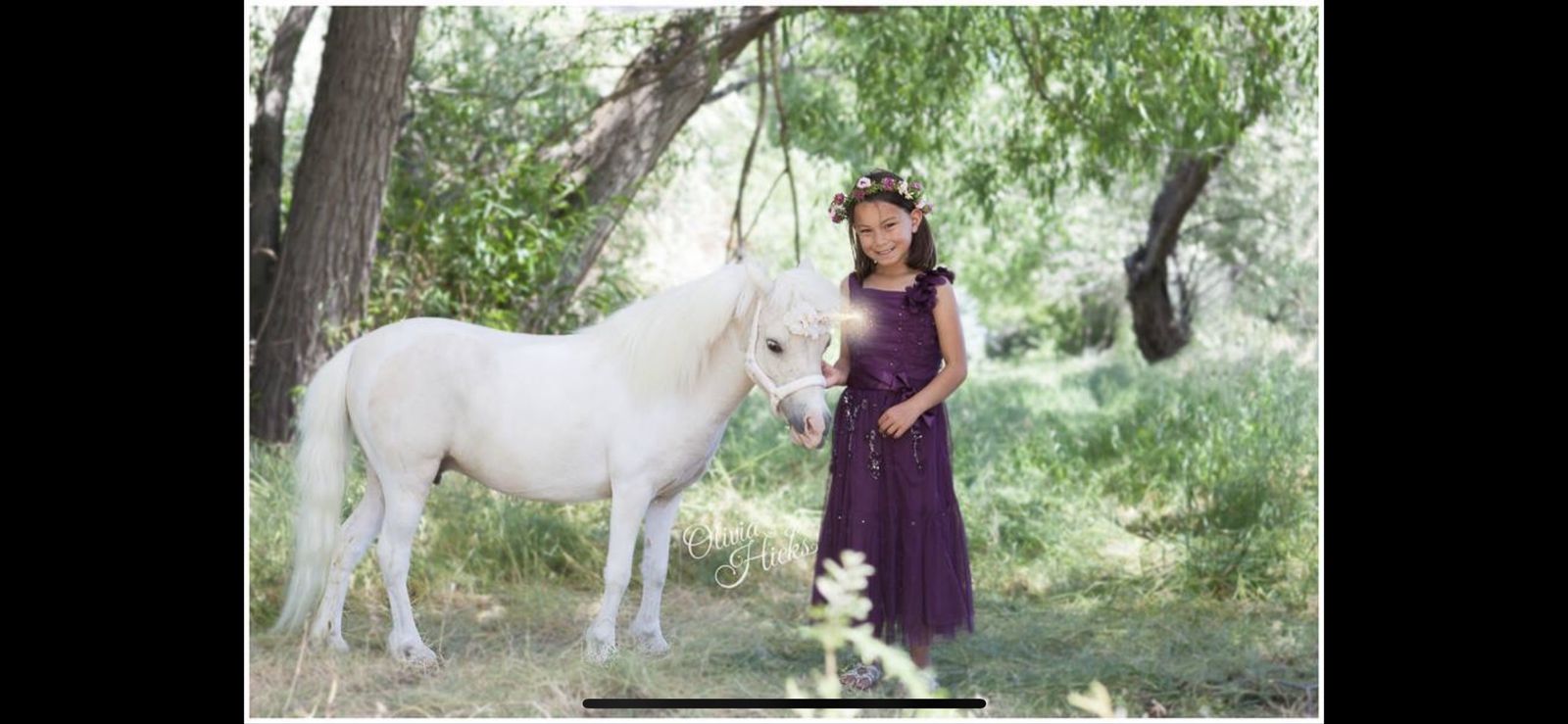 Miniature Horse - Mini Unicorn
