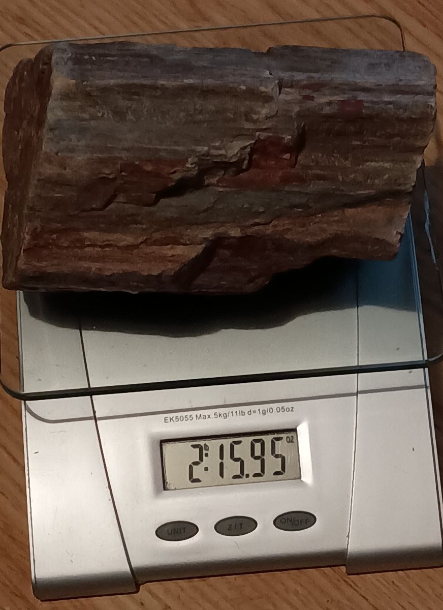 2 pound piece of petrified wood