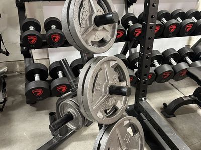 Olympic Hand Grip VTX Weight Plates